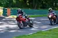 cadwell-no-limits-trackday;cadwell-park;cadwell-park-photographs;cadwell-trackday-photographs;enduro-digital-images;event-digital-images;eventdigitalimages;no-limits-trackdays;peter-wileman-photography;racing-digital-images;trackday-digital-images;trackday-photos